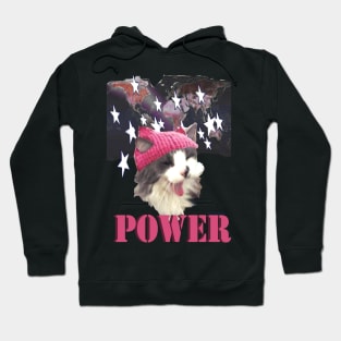 Pink Hat Cat Hoodie